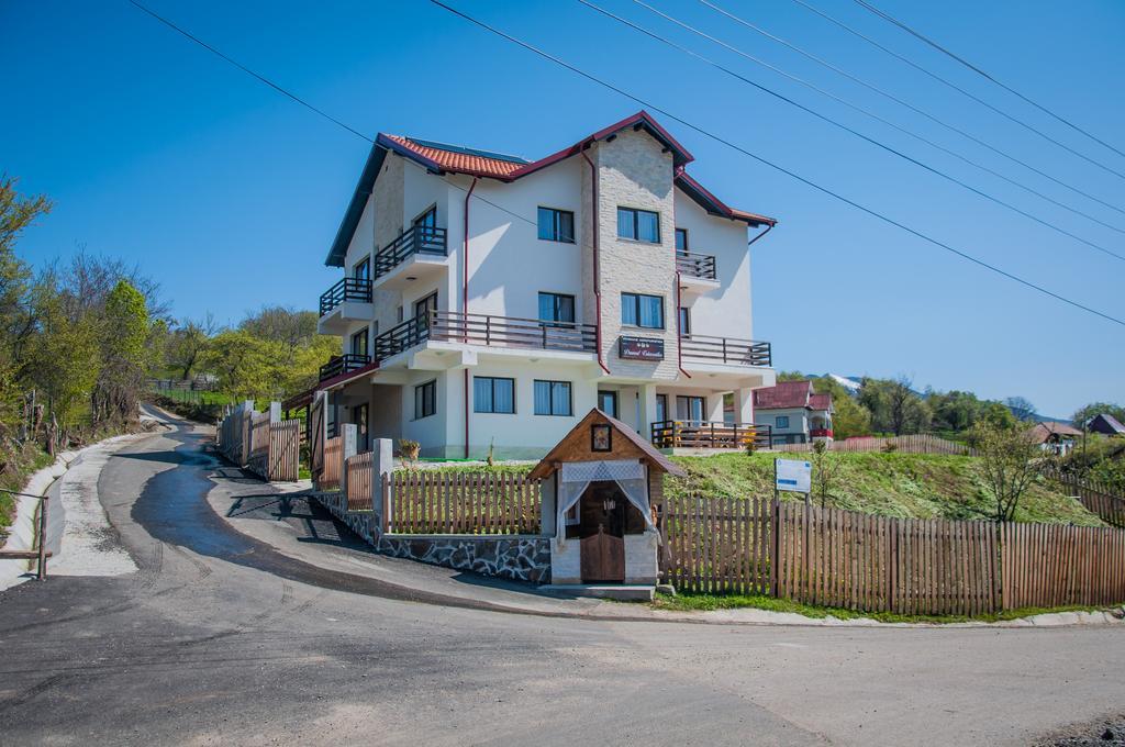 Pensiunea Drumul Voievozilor Arefu Exterior foto