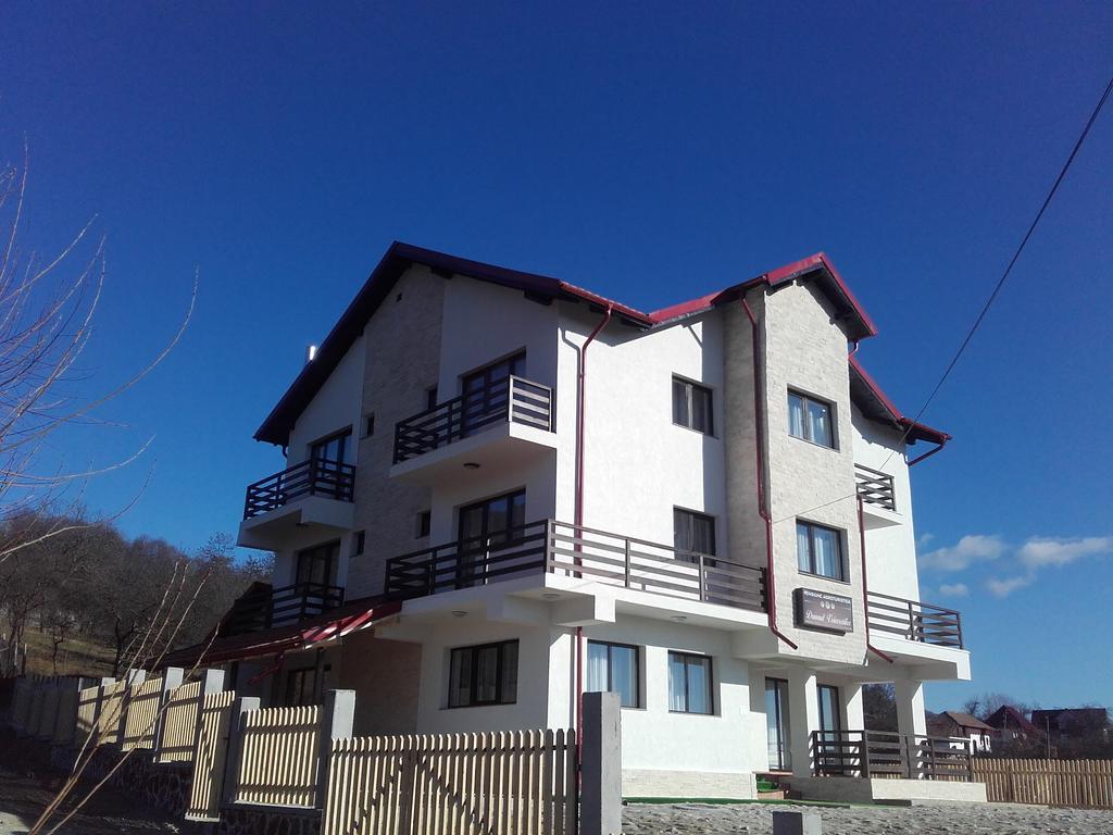 Pensiunea Drumul Voievozilor Arefu Exterior foto