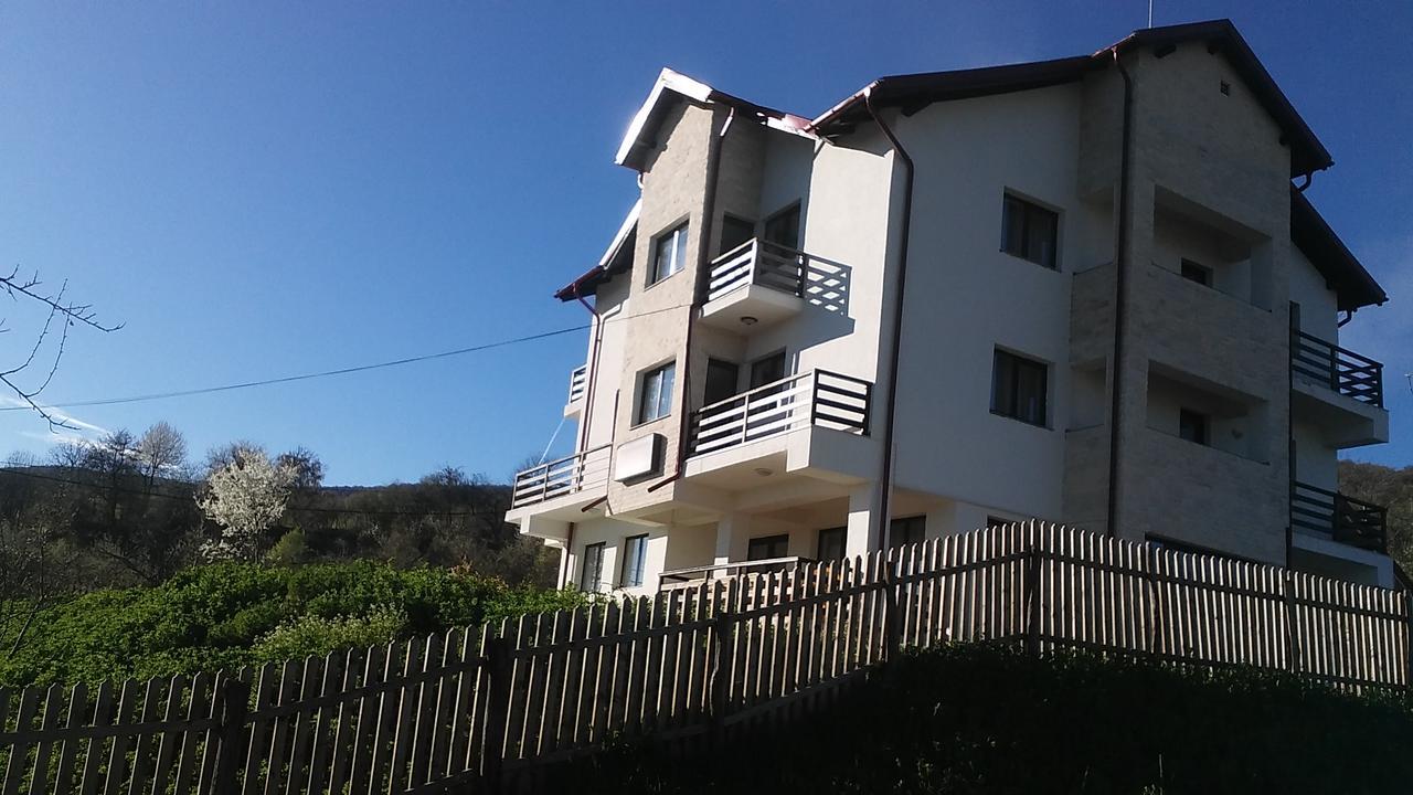 Pensiunea Drumul Voievozilor Arefu Exterior foto