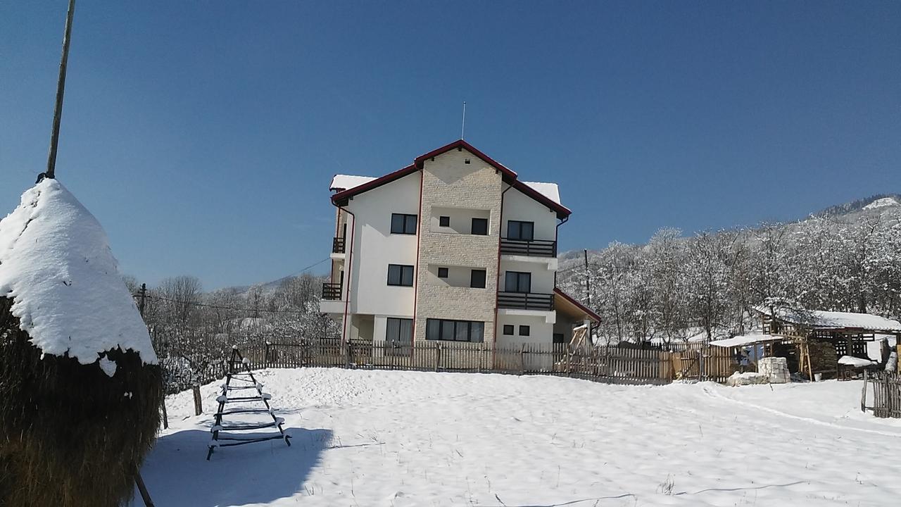 Pensiunea Drumul Voievozilor Arefu Exterior foto